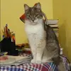 Отзыв от Дина Рубцова